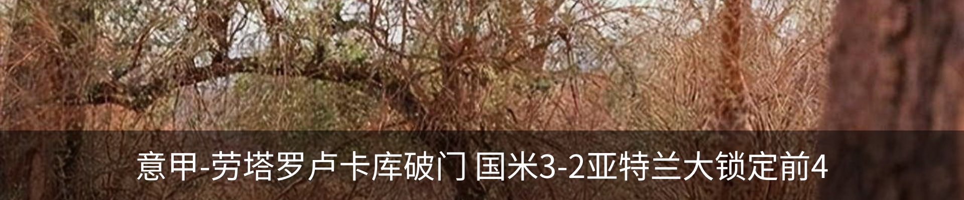 资讯中心