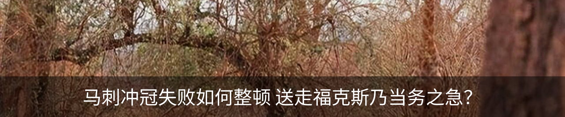 资讯中心